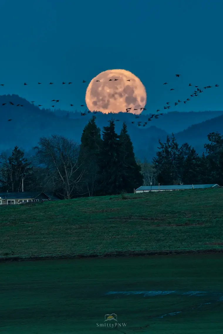 Pacific Northwest landscape, nature, and Milky Way photography by SmittyPNW.art - gallery image 2