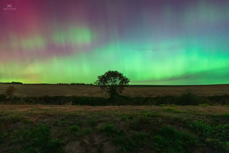 Pacific Northwest landscape, nature, and Milky Way photography by SmittyPNW.art - gallery image 9