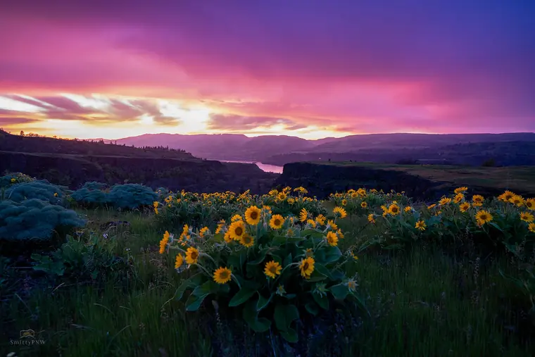 Pacific Northwest landscape, nature, and Milky Way photography by SmittyPNW.art - gallery image 19