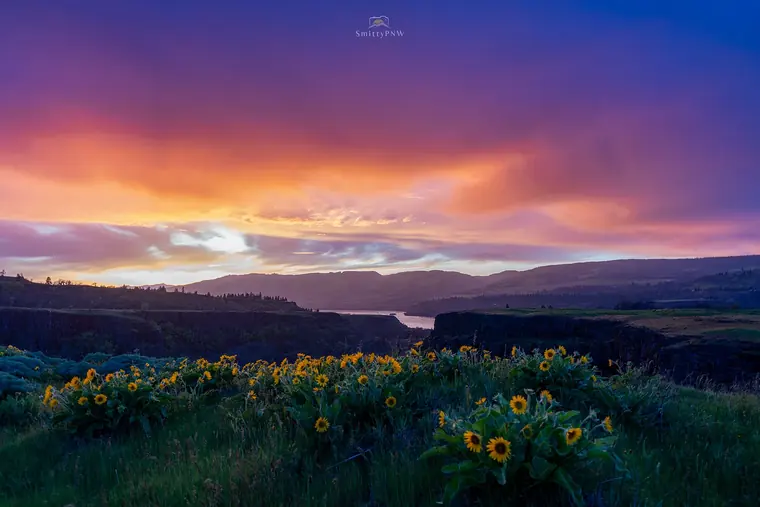 Pacific Northwest landscape, nature, and Milky Way photography by SmittyPNW.art - gallery image 23