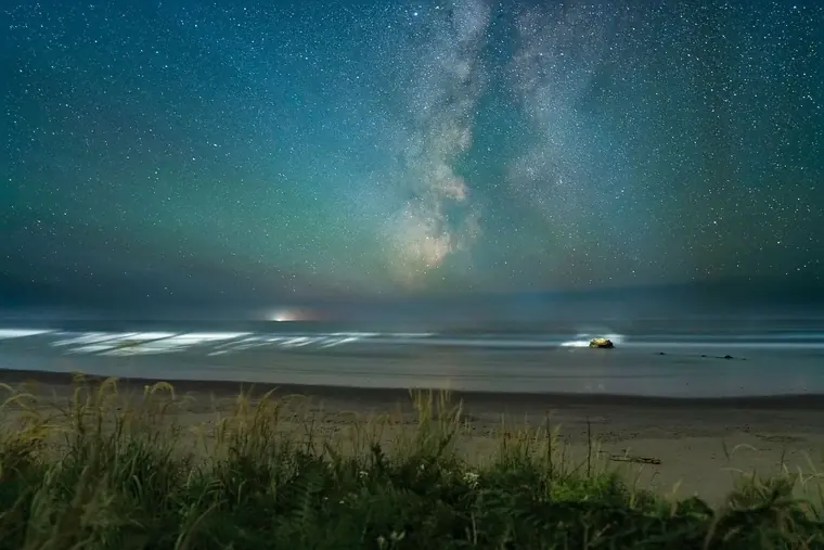 Milky Way, Bioluminescence, light rays and Dune Grass Foreground