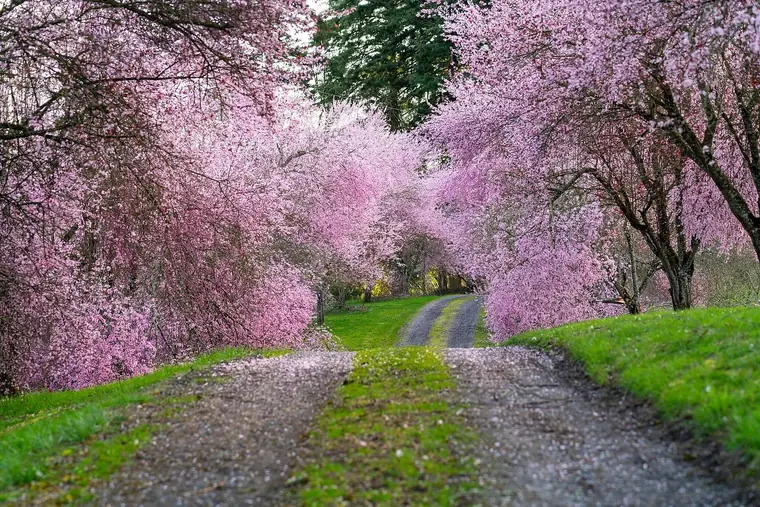 Pacific Northwest landscape, nature, and Milky Way photography by SmittyPNW.art - gallery image 1