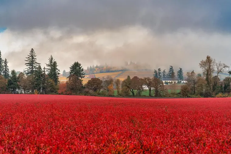 Pacific Northwest landscape, nature, and Milky Way photography by SmittyPNW.art - gallery image 13
