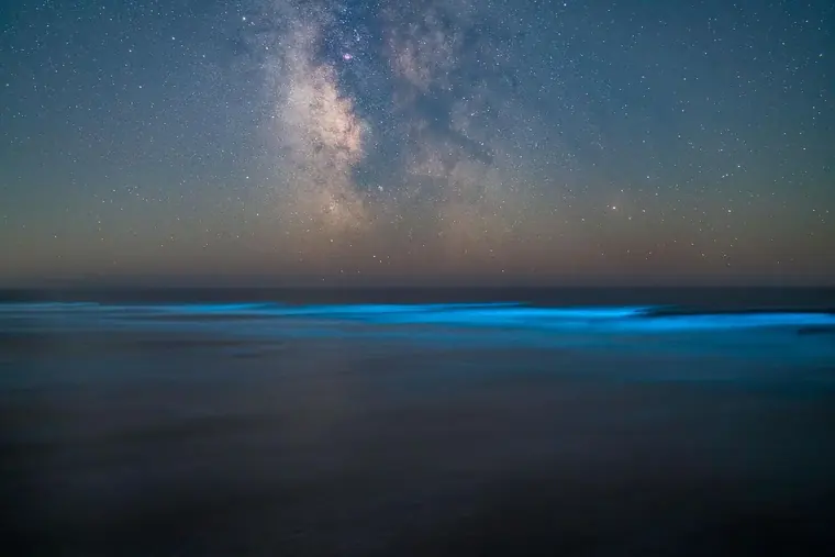 Oregon Coast landscape and Milky Way photography by SmittyPNW.art - gallery image 6