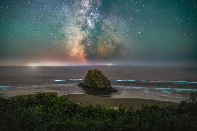Bioluminescent Waves and Milky Way - Viewpoint