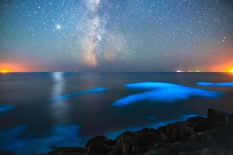 Oregon Coast landscape and Milky Way photography by SmittyPNW.art - gallery image 17