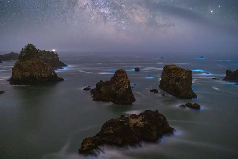 Bioluminescent Waves Arch Rock - MW One