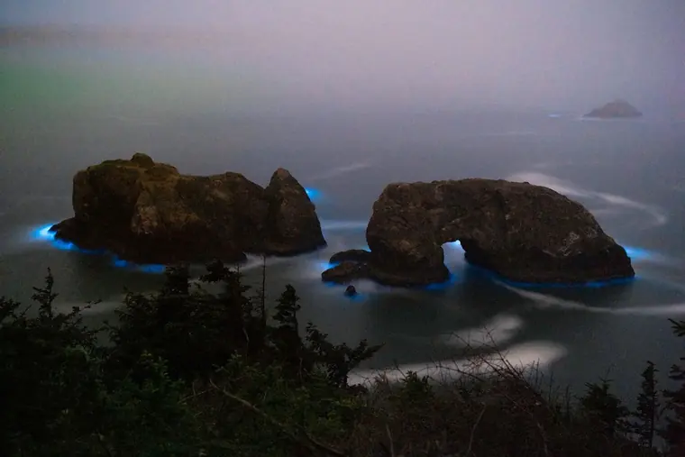 Bioluminescent Waves Arch Rock