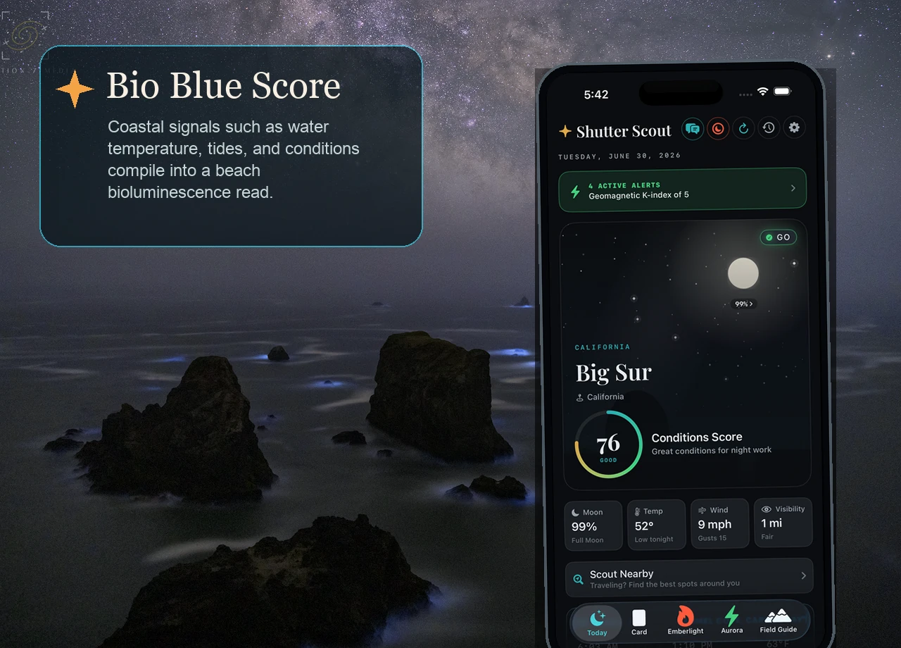 Actual Shutter Scout app screenshot composited over bioluminescent coastal photography